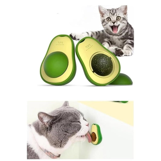 kedi nanesi