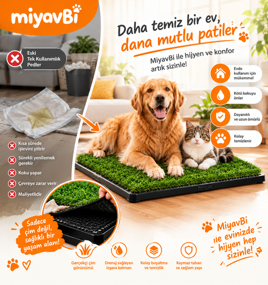 köpek eğitim çimi