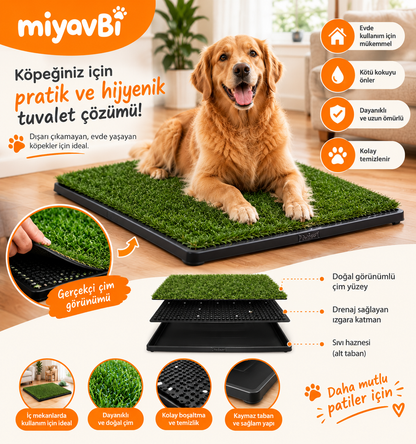 köpek eğitim çimi