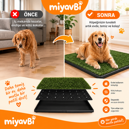 köpek eğitim çimi